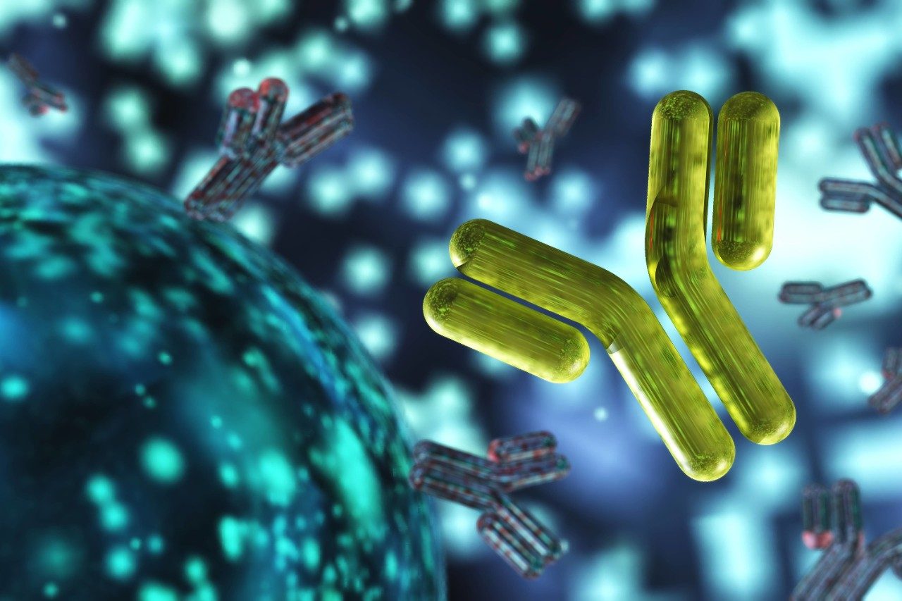 Transfer Of An SEC Method For Monoclonal Antibody Analysis From HPLC To