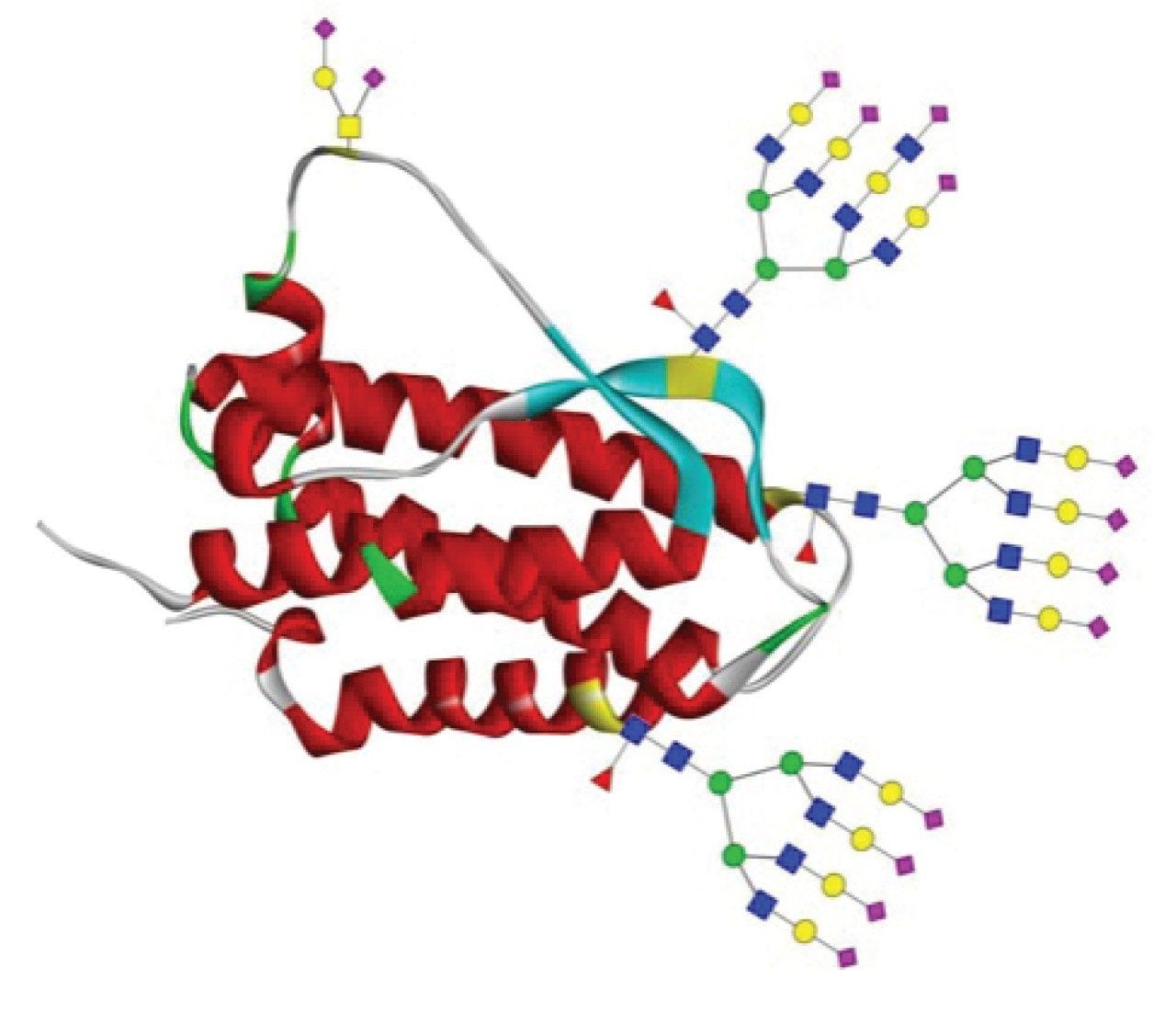 Improved Recovery And Peak Shape Of Sialylated O Glycopeptides Of