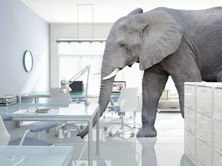 The Elephant in Your Laboratory