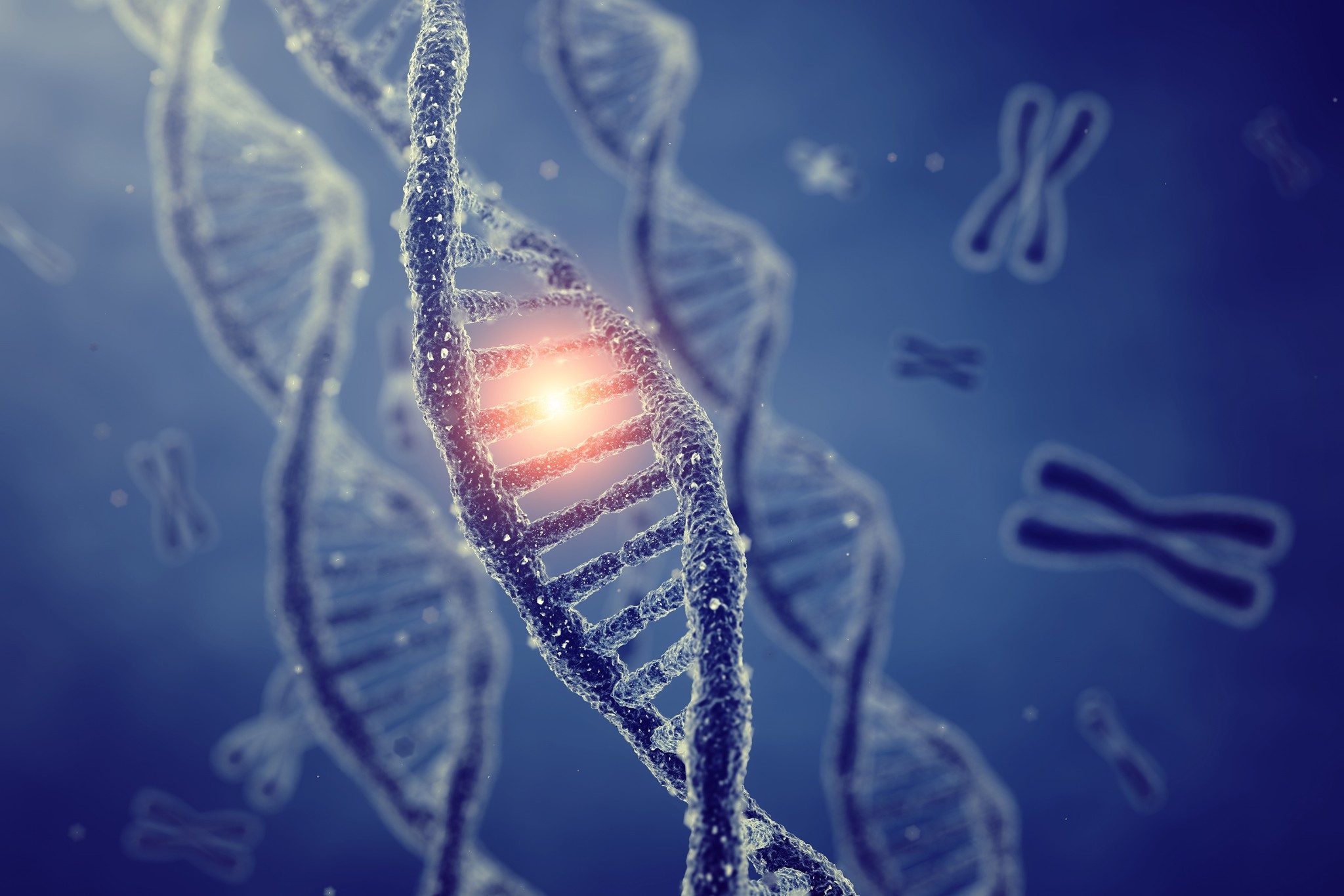 DNA-Doppelhelix-Moleküle und -Chromosome, genetischer Code und Genmutation