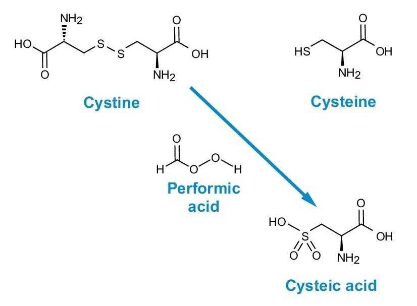 Abbildung 4. Perameisensäureoxidation von Cystin und Cystein zu Cysteinsäure