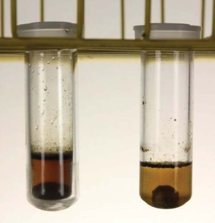 Abbildung 9. Eine hydrolysierte Probe.