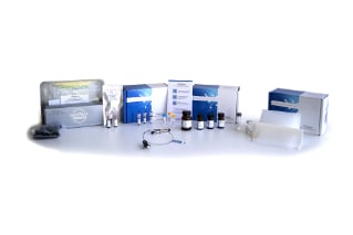 The SARS-CoV-2 LC-MS Starter Kit (RUO)  includes the components needed to prepare, detect, and accurately quantify three proteotypic peptides (AYN, NPA, and ADE) for the SARS-CoV-2 NCAP protein. 