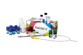 Kairos Amino Acid Kit is a fully automated kit for amino acid analysis by LC-MS with manual options that provides results in record time with unprecedented accuracy and precision.