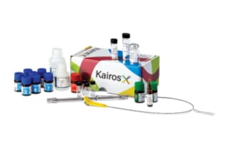 Kairos Amino Acid 500+ Manual First Time Order Kit