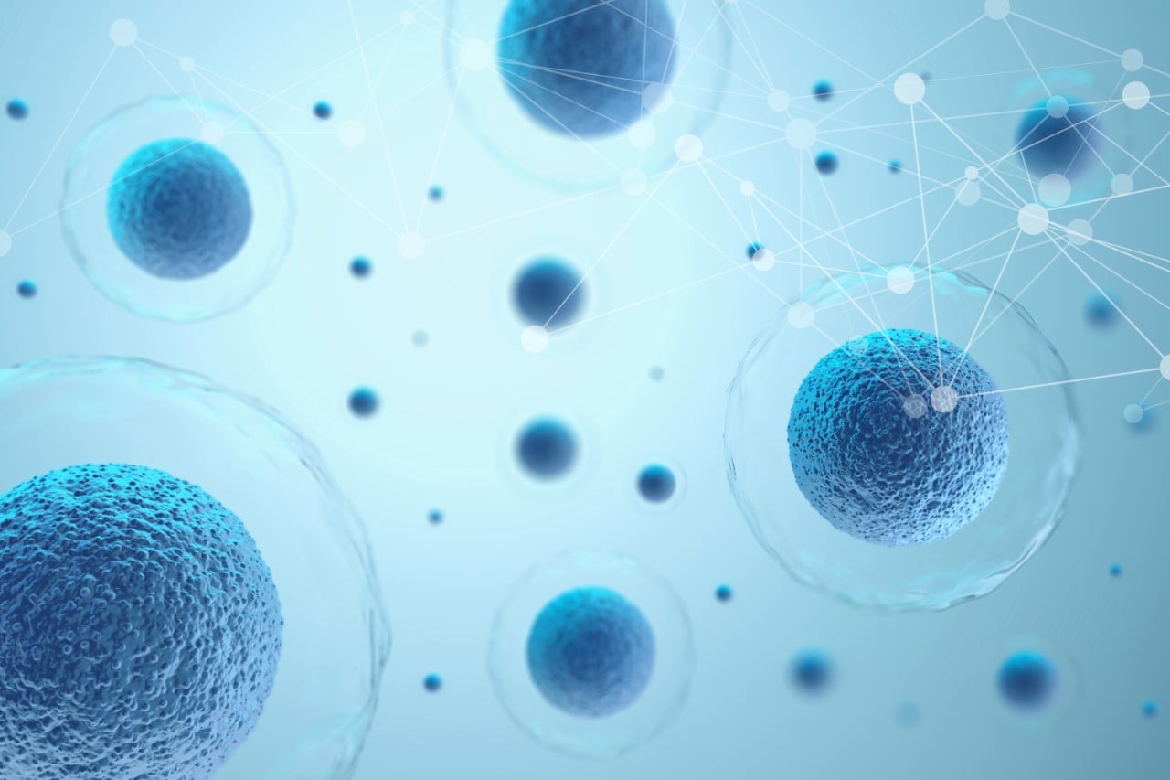 Human cells on a light blue background with a white plexus networking pattern overlayed