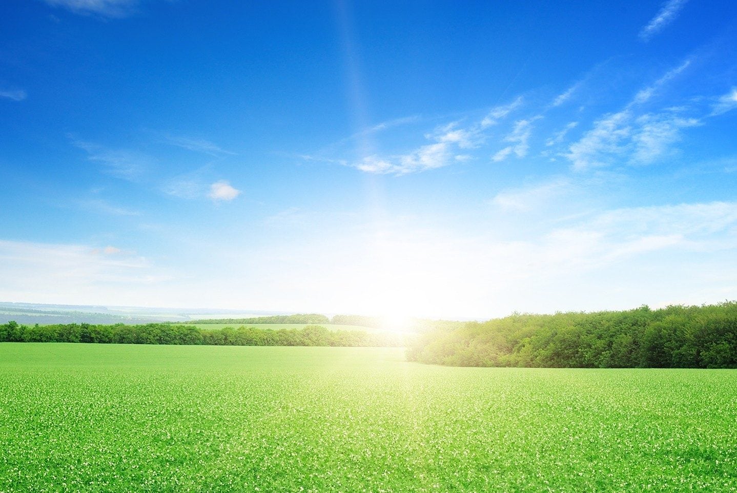 sunrise over a green field