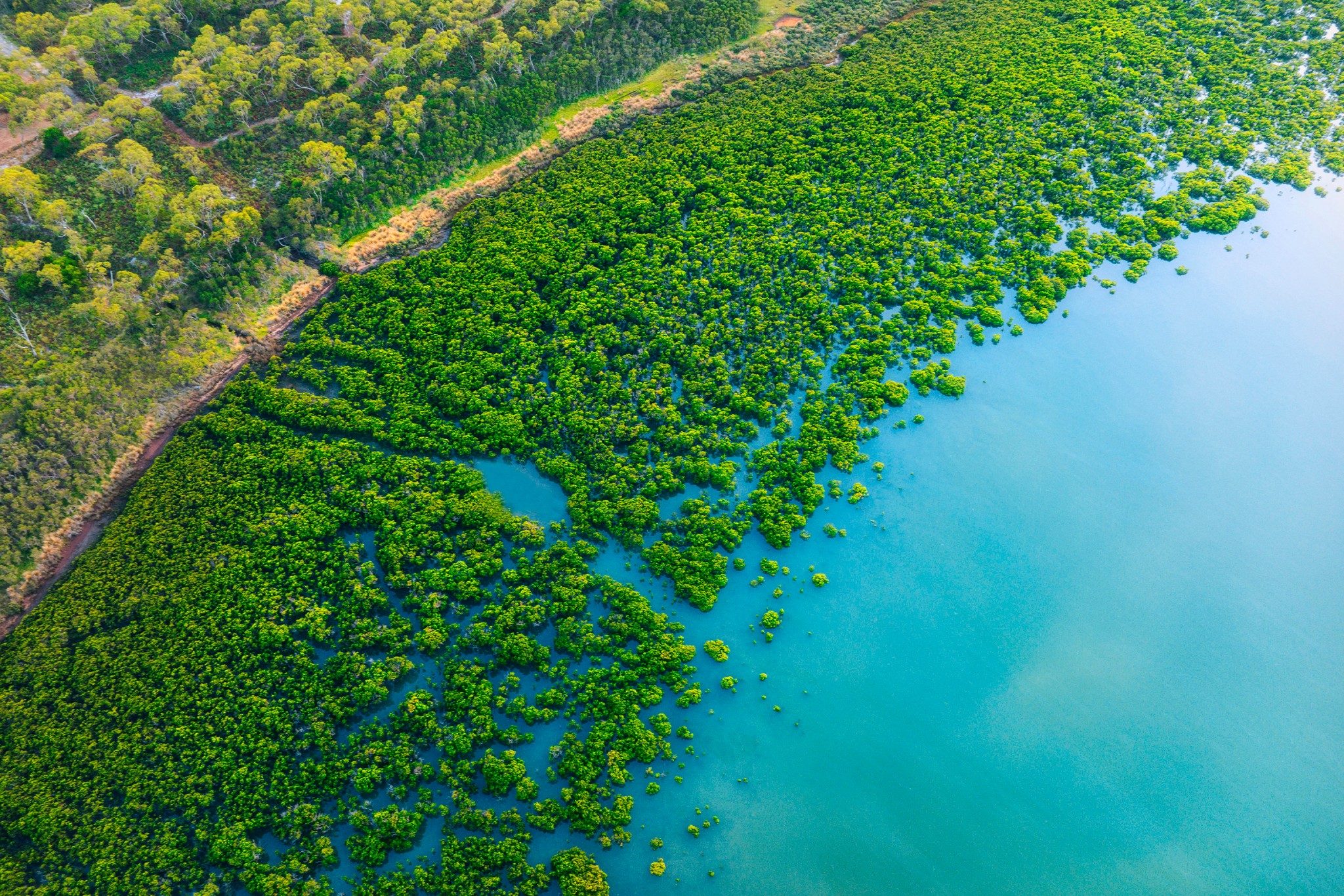 Aerial view of a bayou in Blind Bight, Victoria, Australia