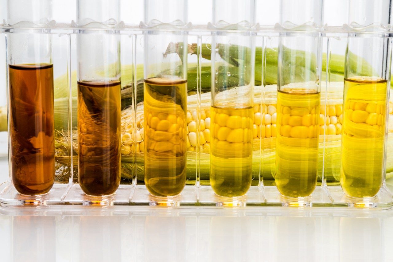 Corn generated ethanol biofuel with test tubes