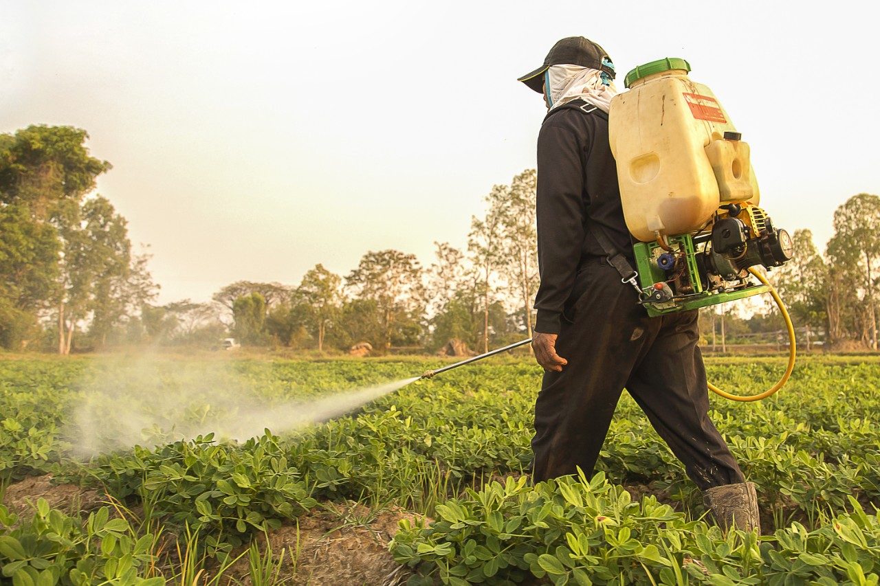 Farmer spraying pesticide in field