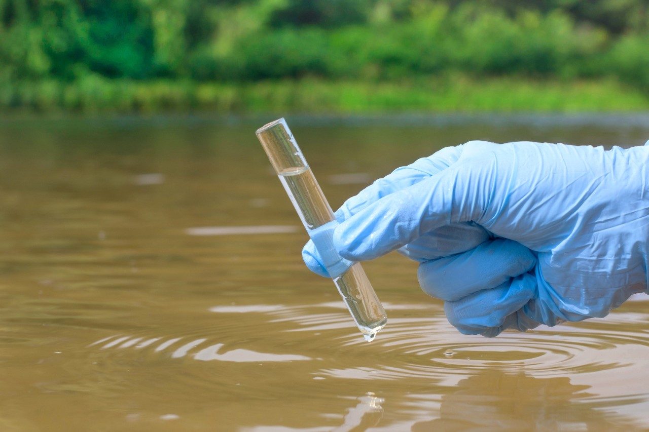 Sample water from the river for analysis