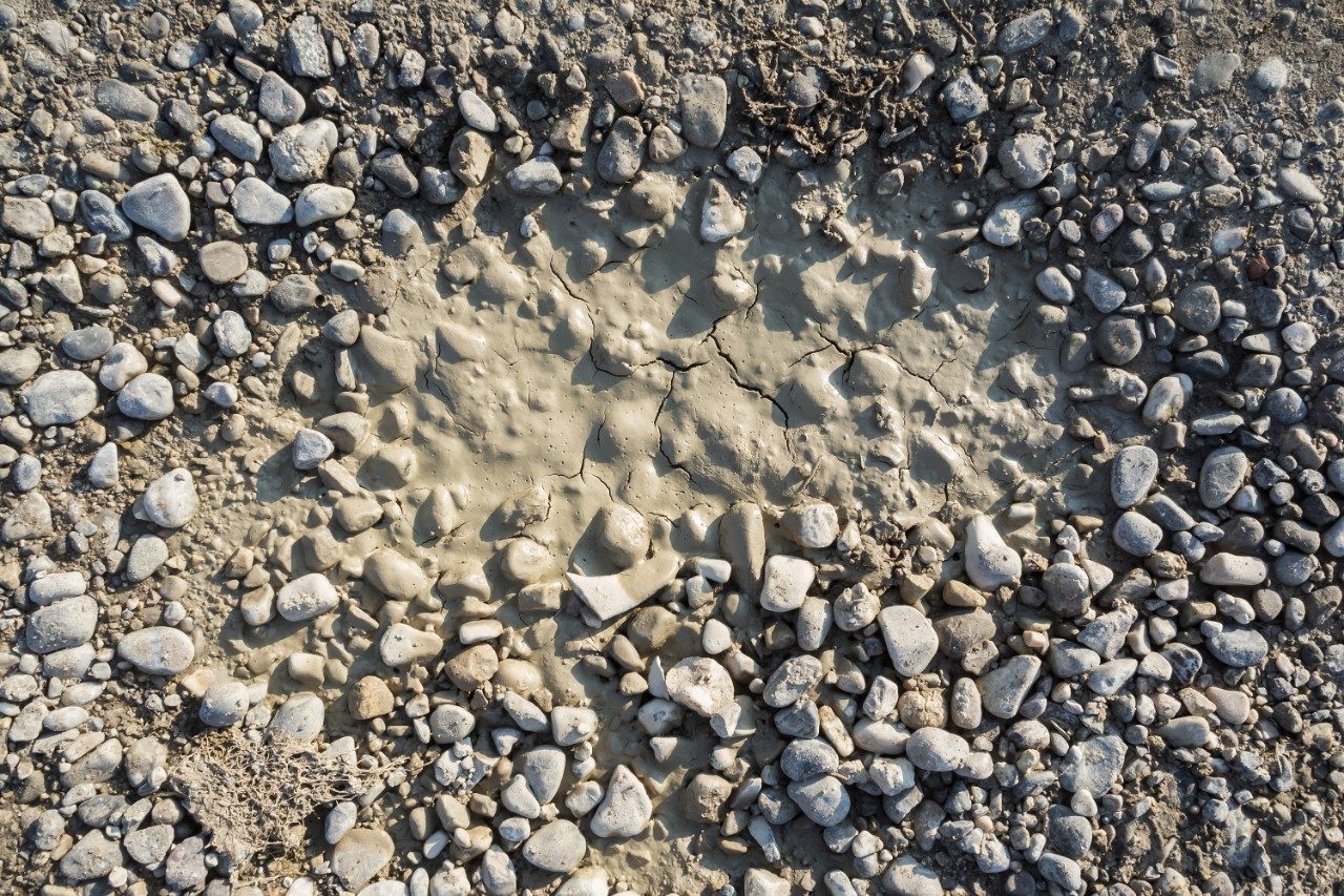 Fine pebbles embedded in mud