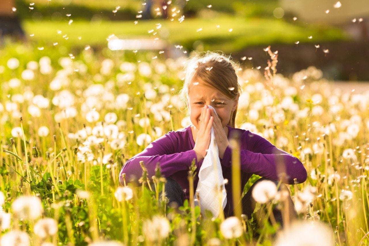 Child in field with hay fever blowing nose with tissue