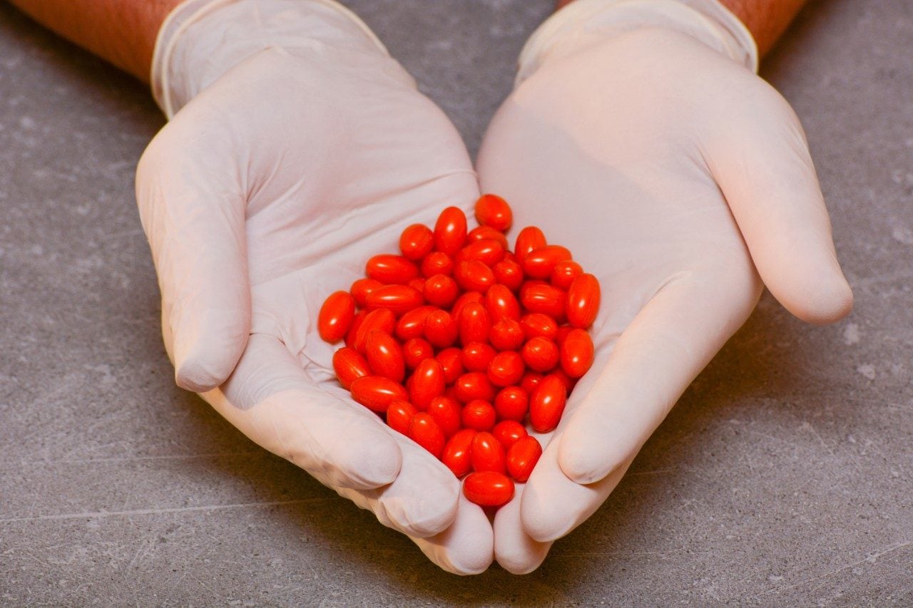 Hands wearing rubber gloves holding coenzyme Q10