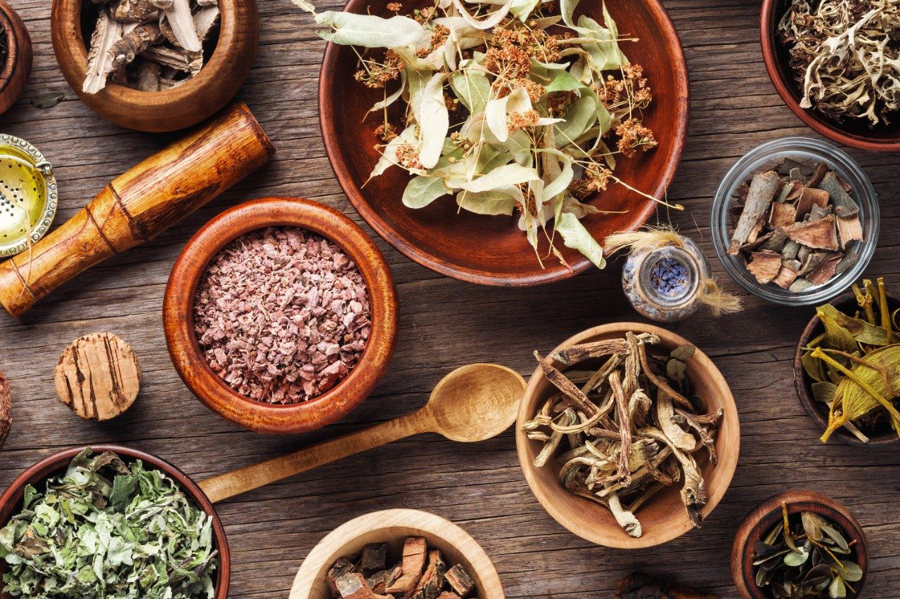 Healing roots and herbs in wooden bowls