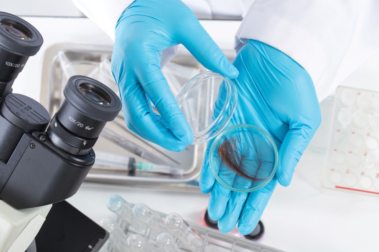 Hair sample in lab petri dish