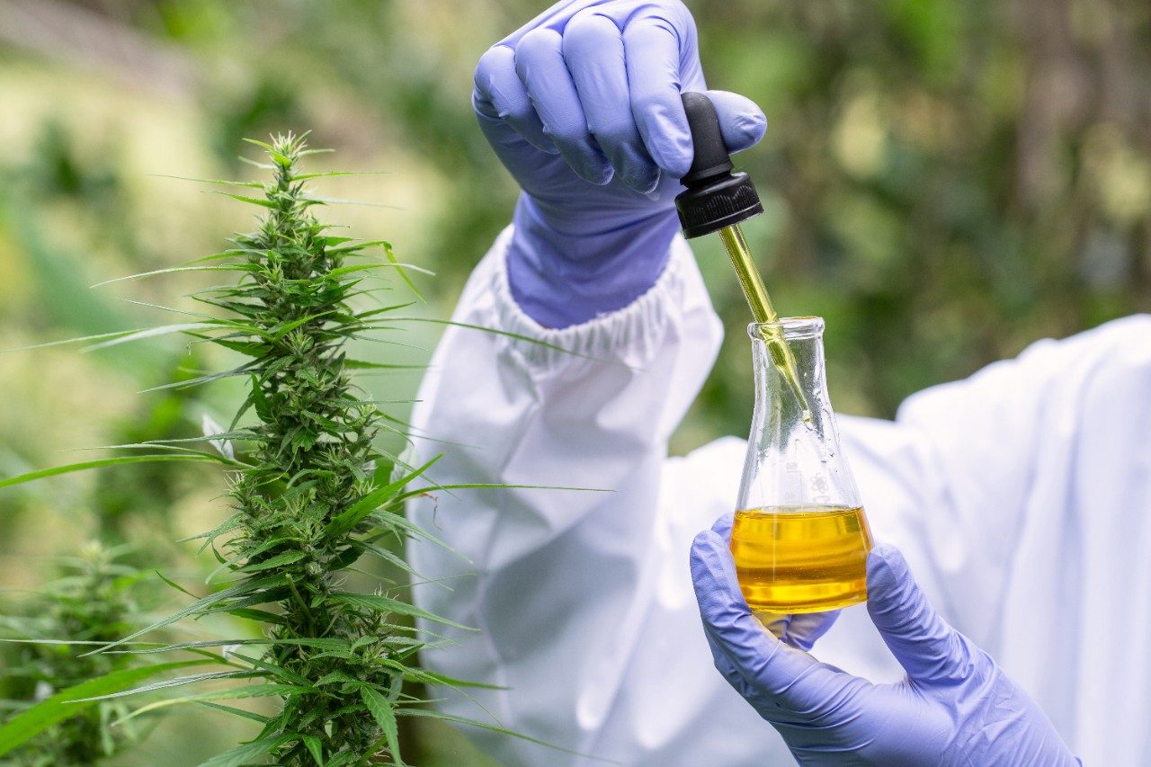 Detect residual solvents in various cannabis consumer products with Waters GC-MS/MS residual solvents testing solutions and sample preparation best practices. 