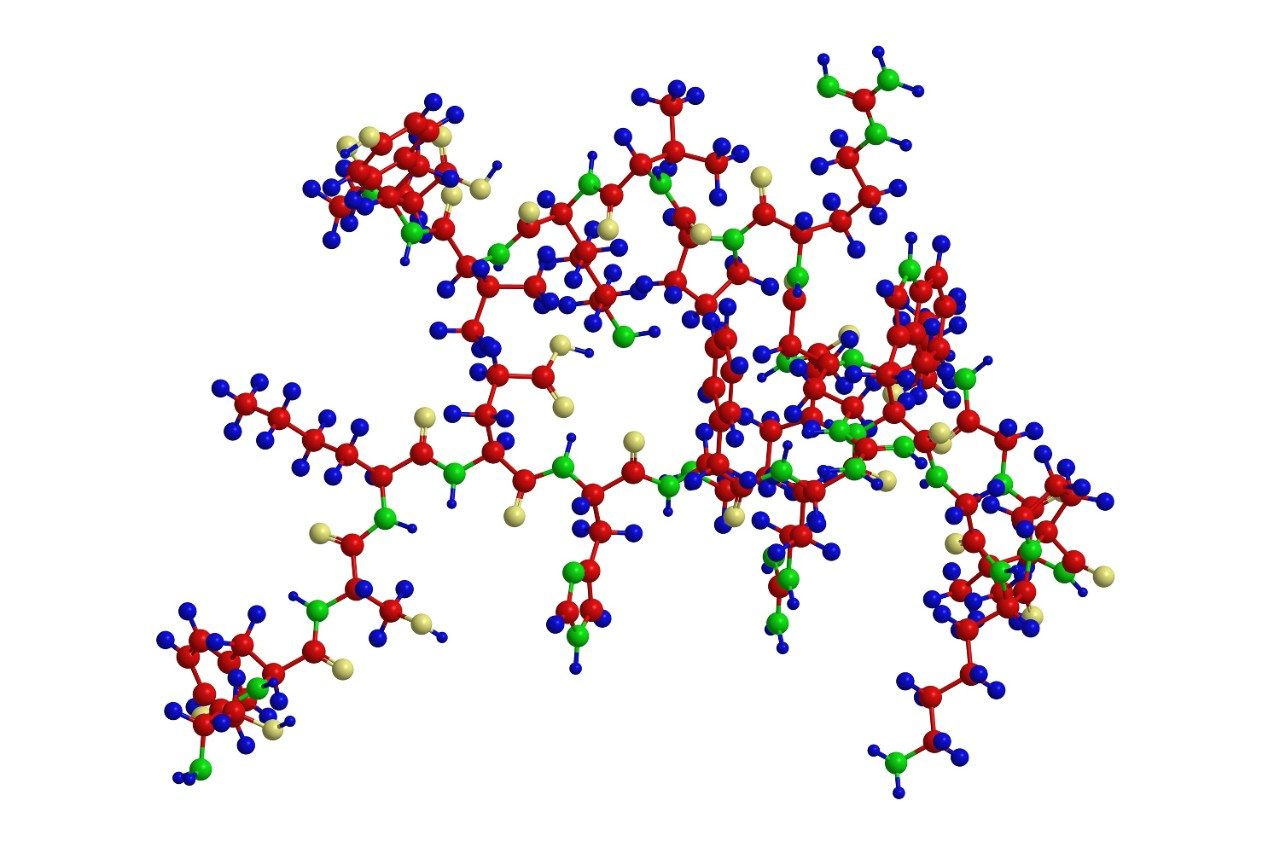 Molecular structure of a peptide, sequence of amino acids