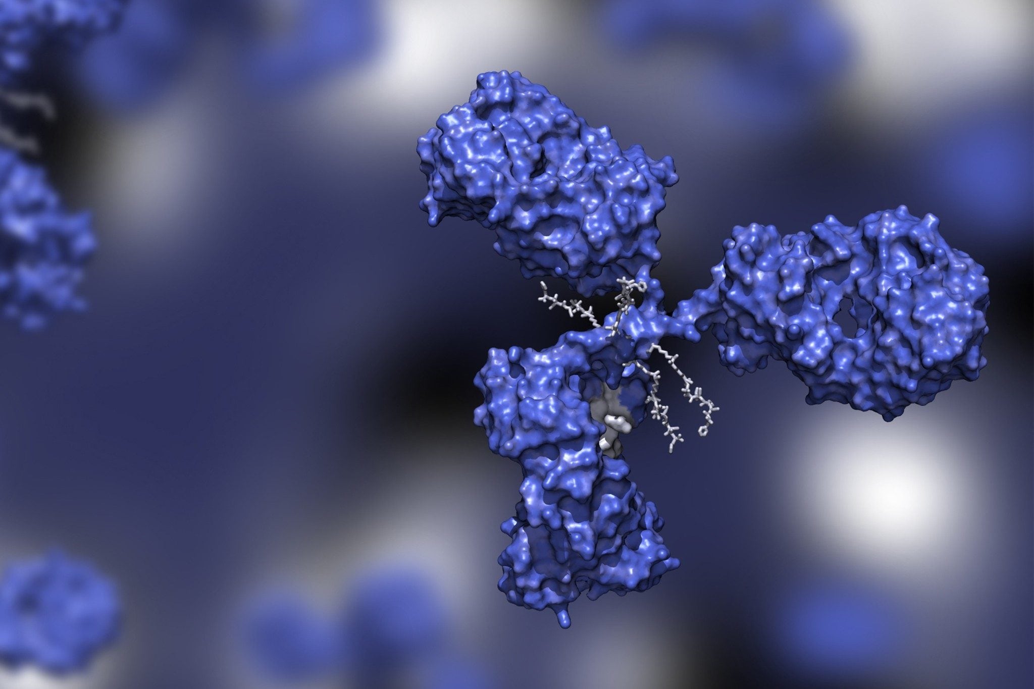 Entwickeln Sie robuste und vergleichbare Prozesse, indem Sie die Profile von Glykopeptiden und freigesetzten N-Glykanen überwachen 