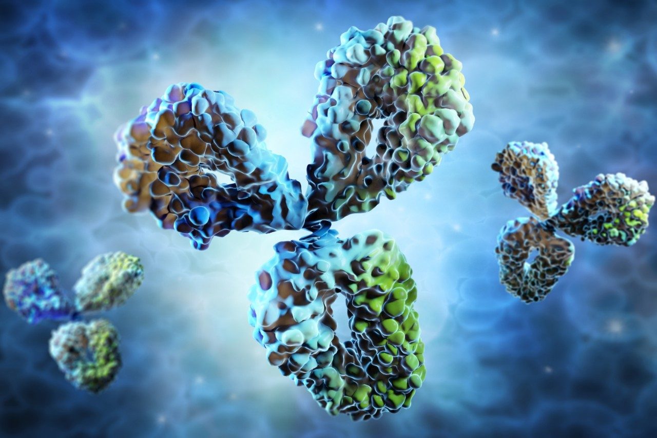 Antibody - visual concept of immune System - 3D illustration