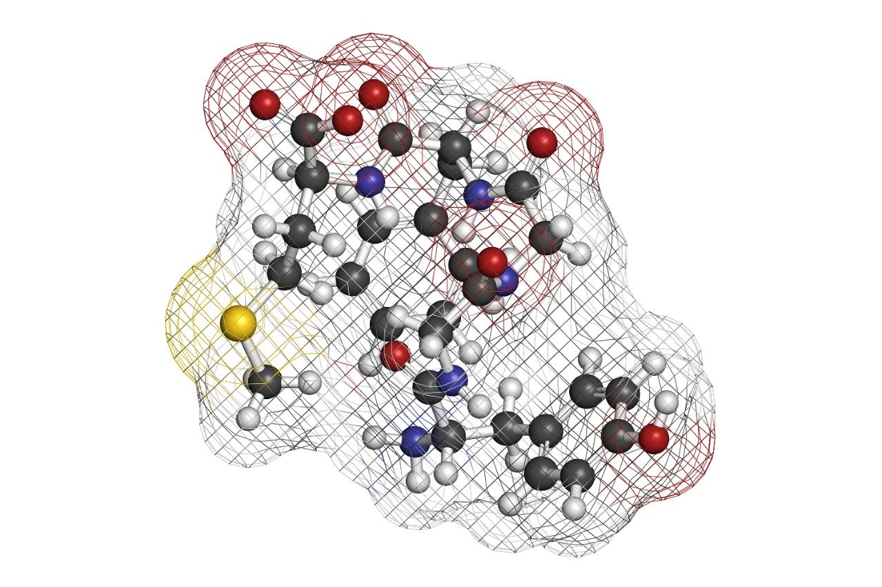 Met-enkephalin endogenous opioid peptide molecule