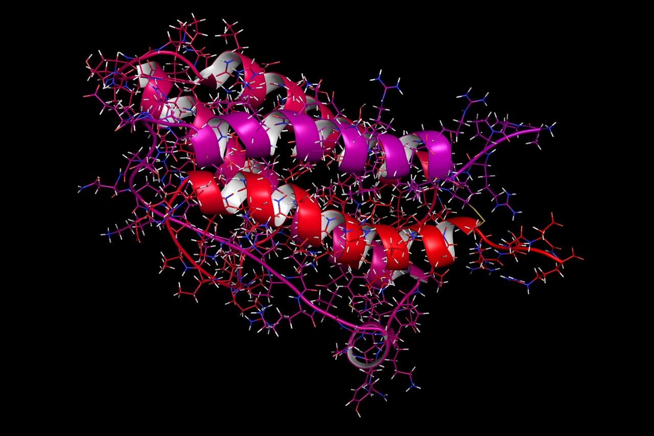 Erythropoietin human epoetin protein hormone