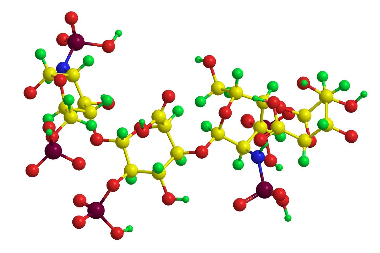 Heparin molecule structure