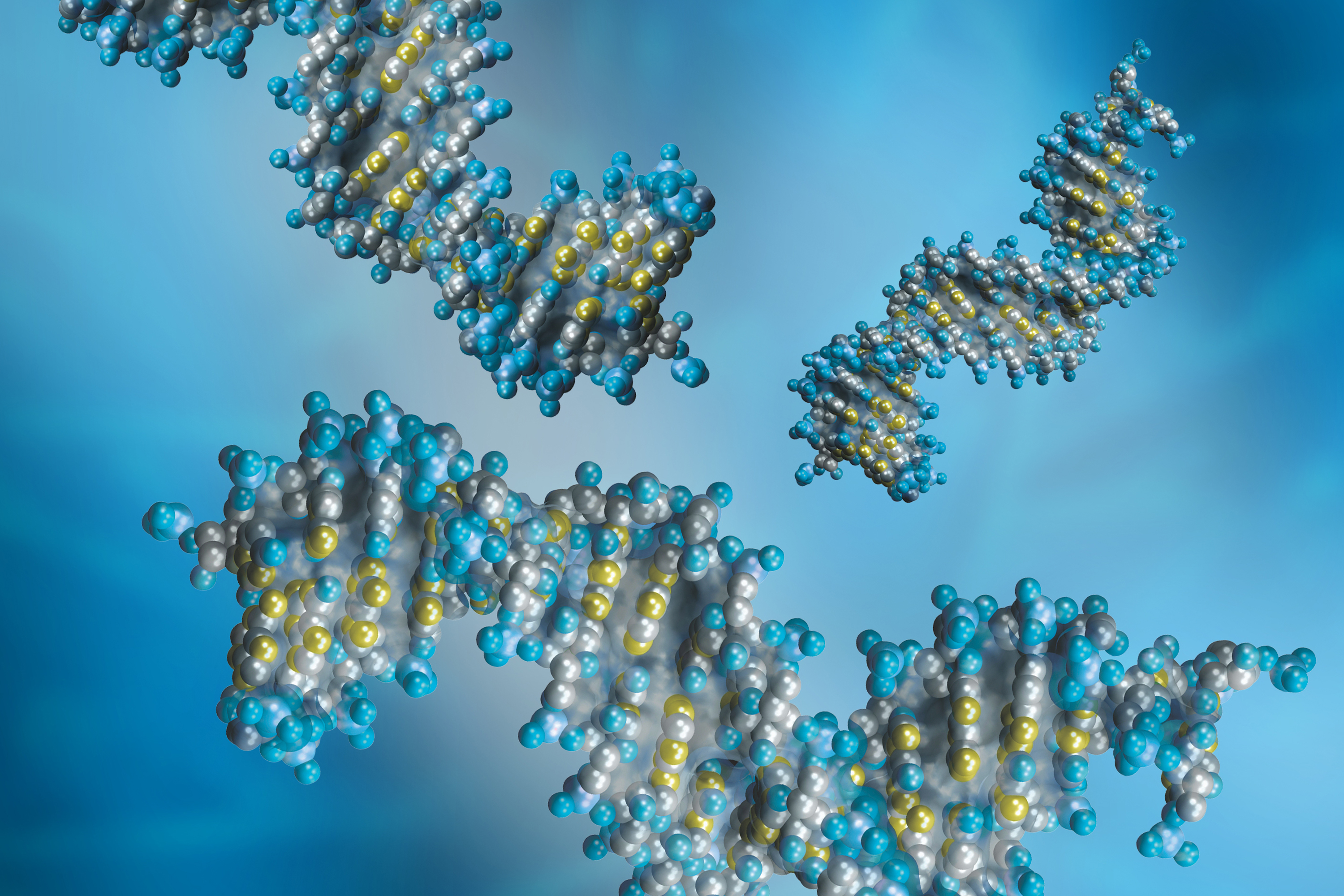 Learn how to achieve high performance oligonucleotide preparative chromatography by utilizing XBridge Oligonucleotide OBD Prep Columns and efficient method optimization considerations