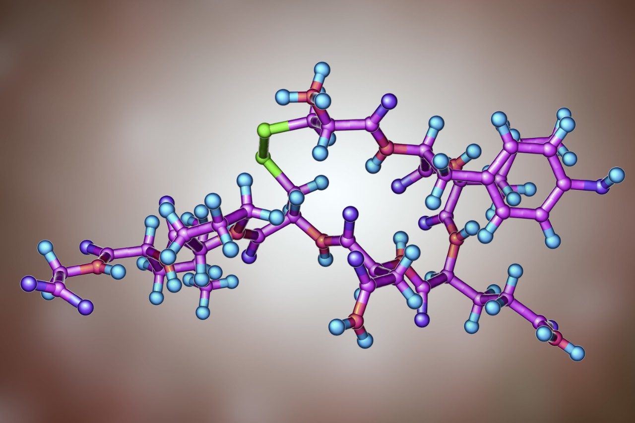 Molecule of oxytocin, a hormone