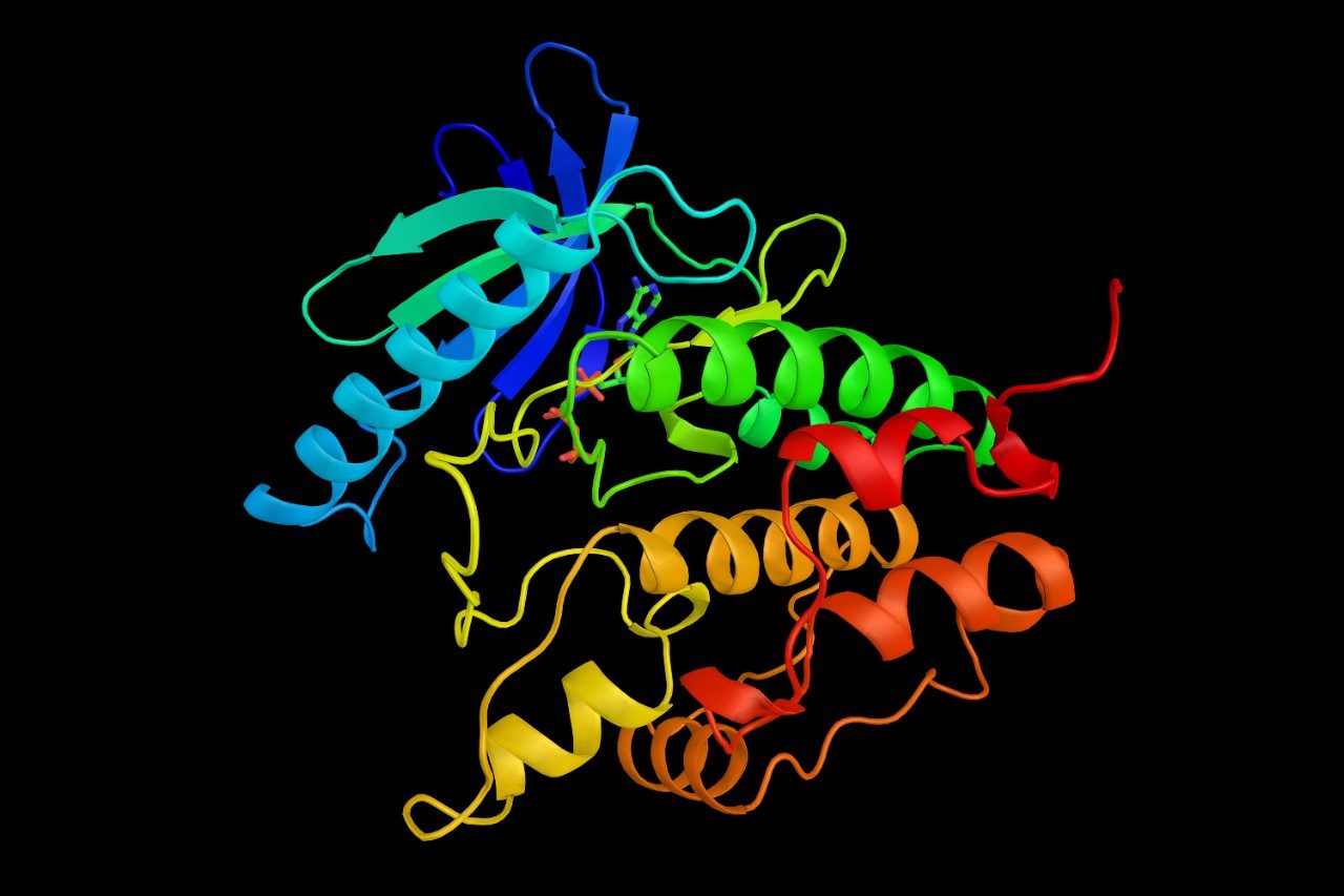 Phosphorylase b kinase gamma catalytic chain