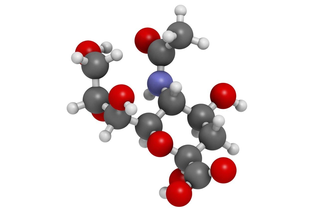 Sialic acid (N-acetylneuraminic acid, Neu5Ac, NANA) molecule