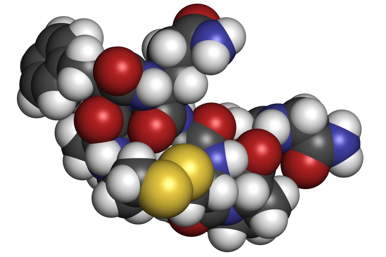 Desmopressin synthetic peptide molecule structure