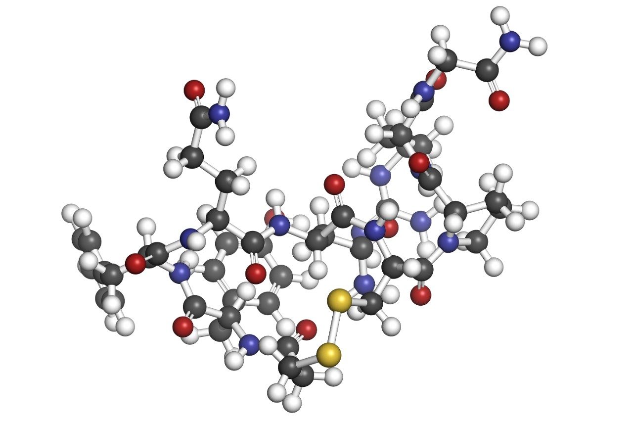 Desmopressin synthetic peptide molecule structure