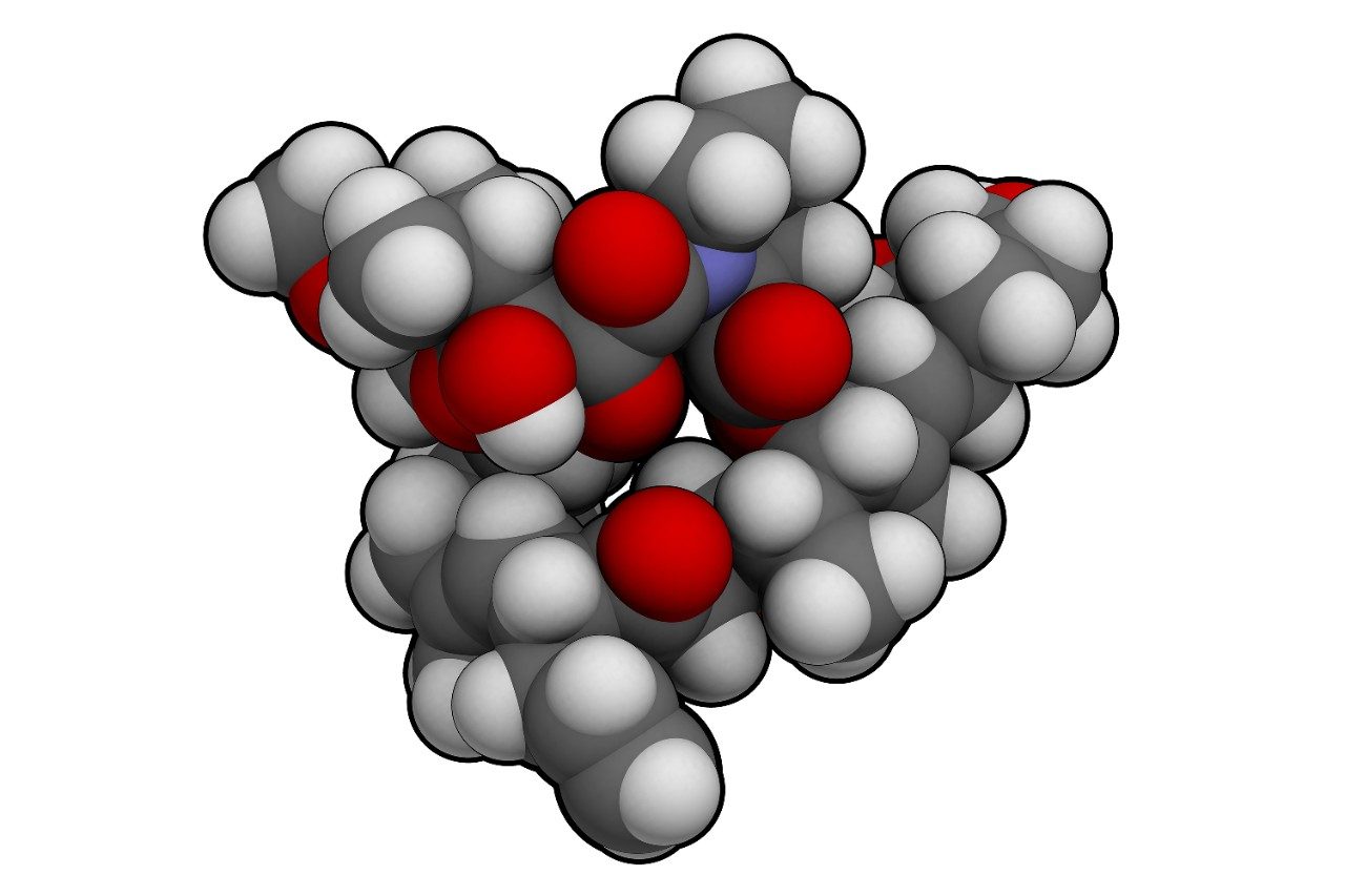 Tacrolimus molecular structure