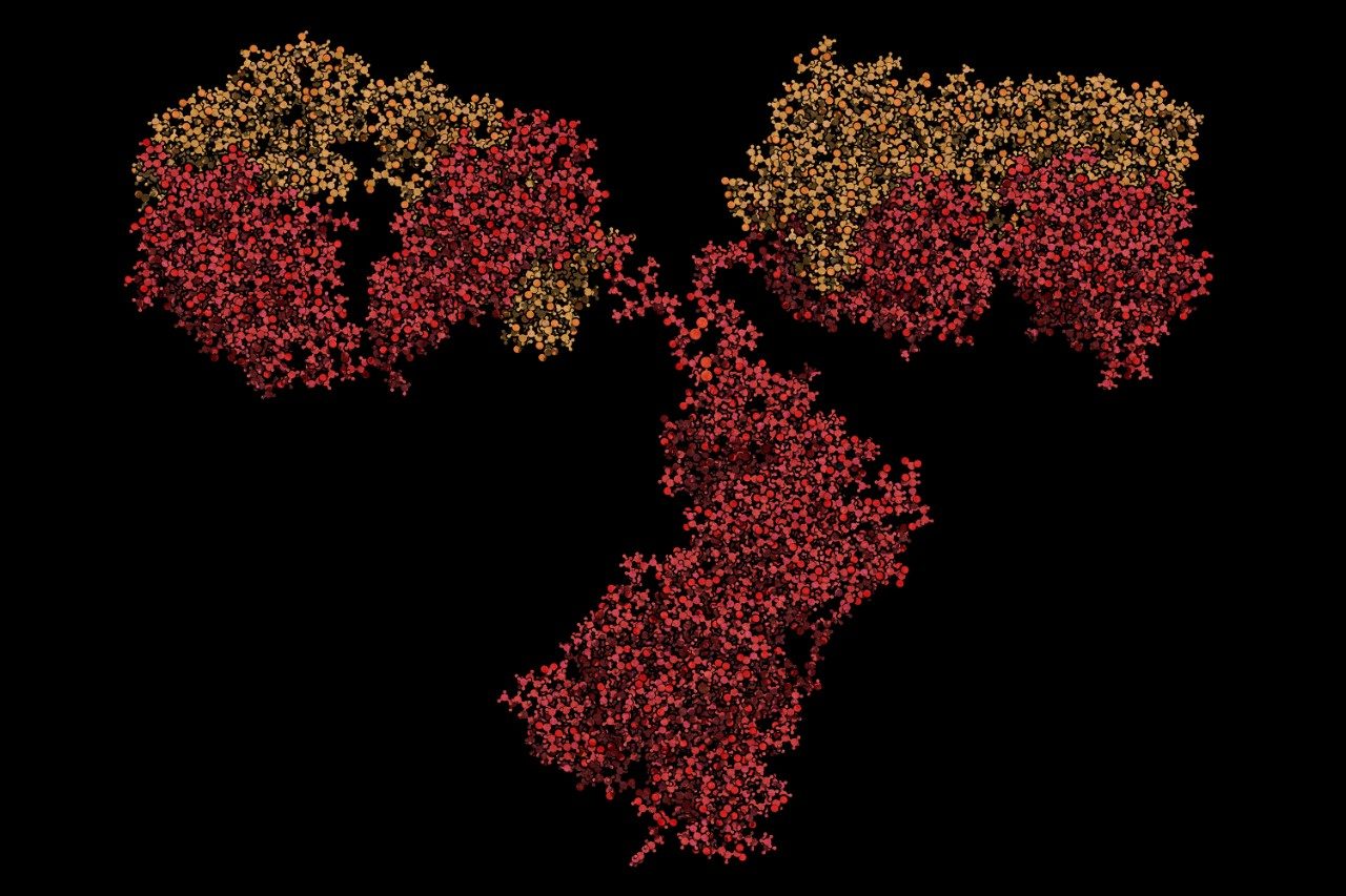 IgG2a monoclonal antibody (immunoglobulin)