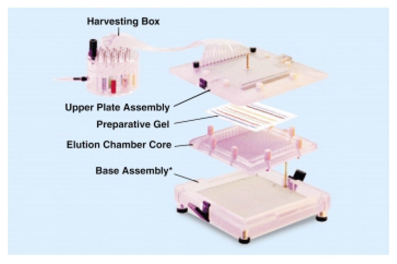 Mini Whole gel eluter apparatus