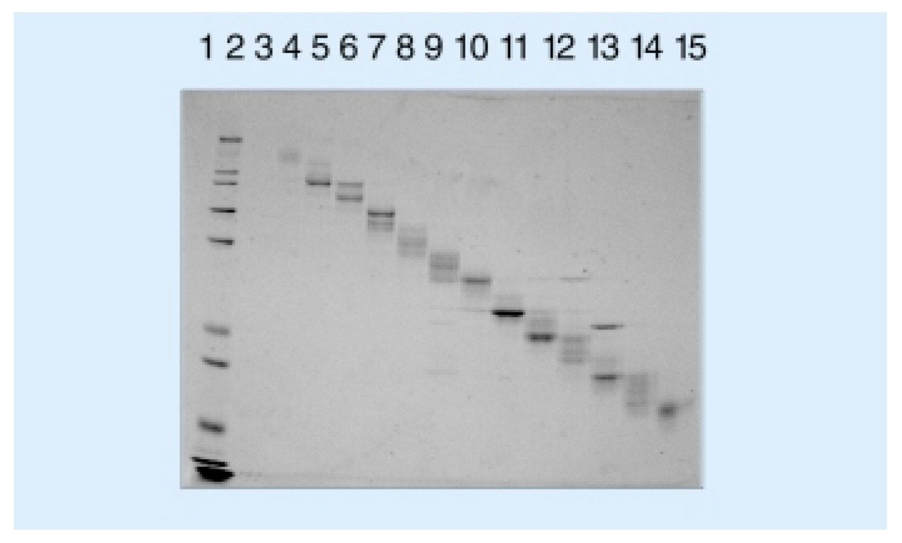 Proteins from Rotofor fraction 3