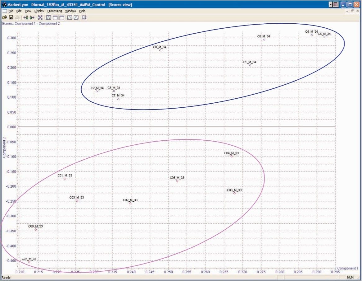 Statistical analyses of male control rat urine 0–8 hour and 8–24 hour samples, positive ion ESI