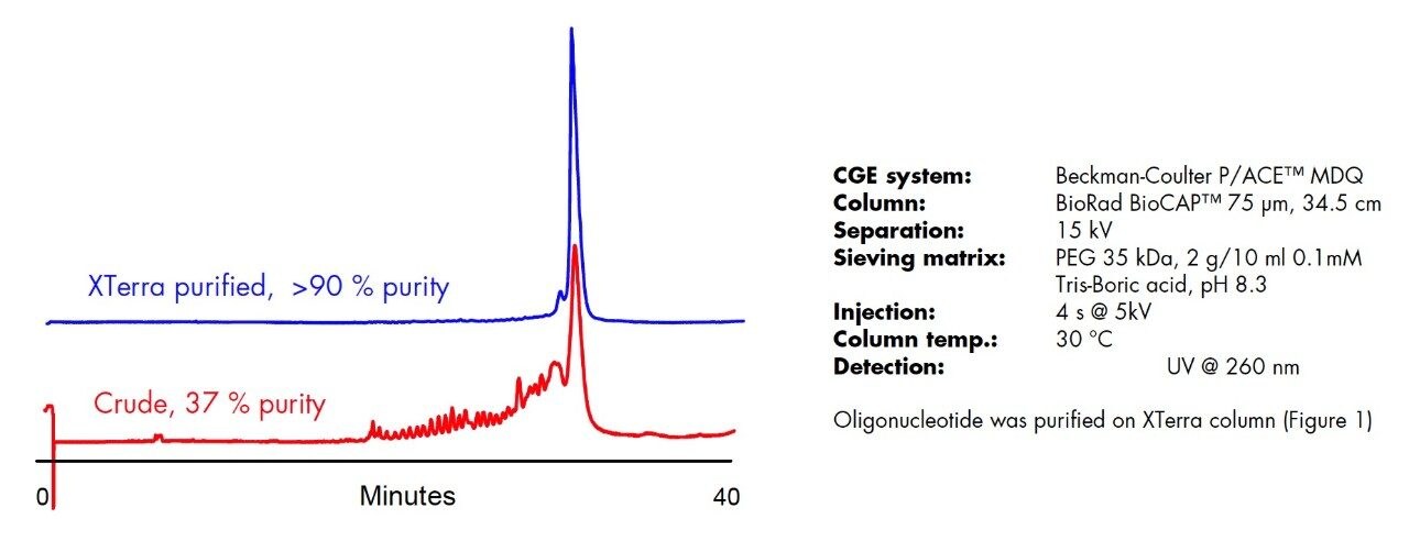 Capillary Gel Electrophoresis (CGE) quality control of 36mer TaqMan oligonucleotide.