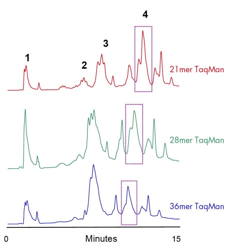 HPLC purification of TaqMan Probes.