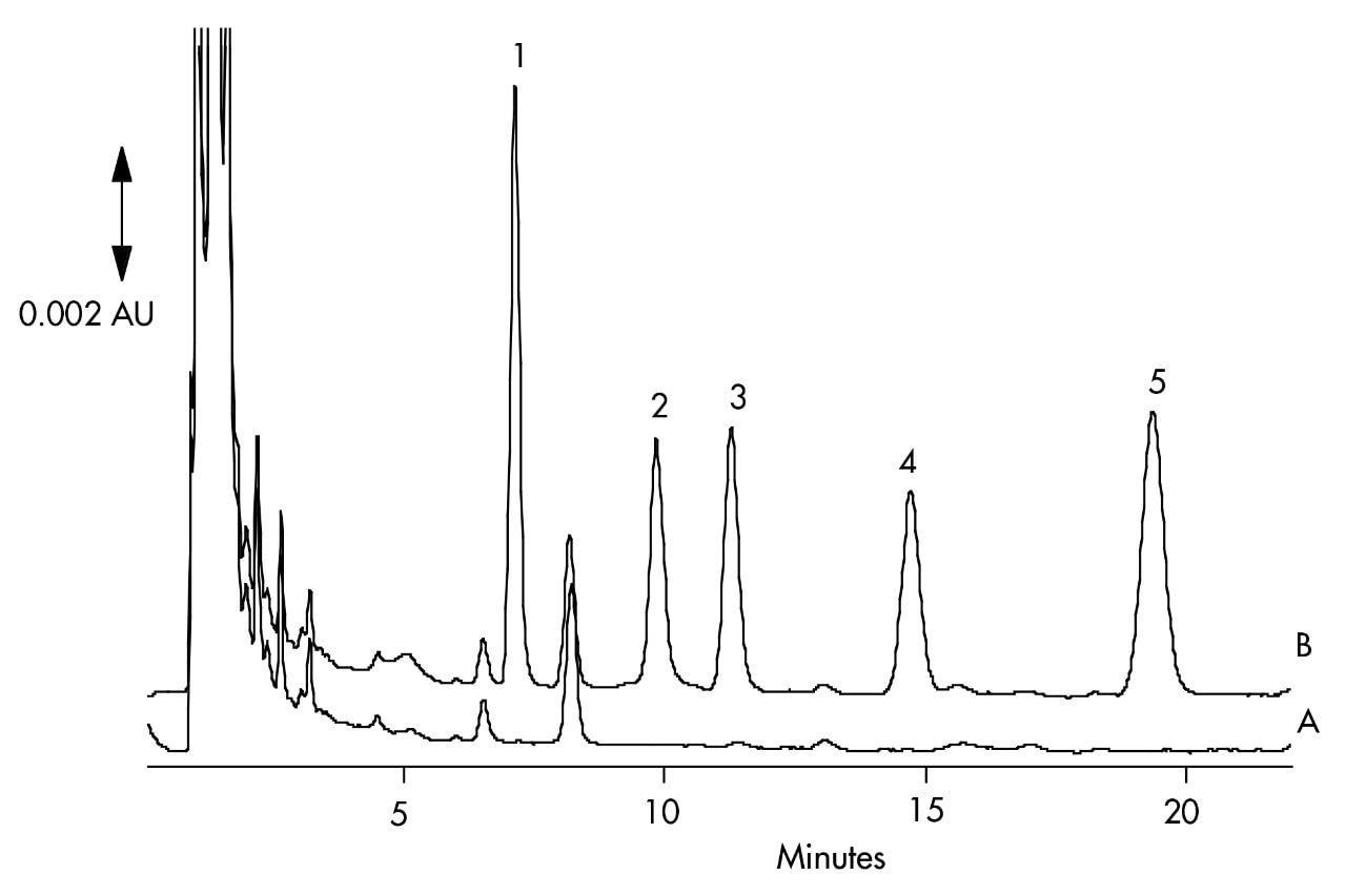 Chromatogram of Serum Extracts: A) Blank B) Spiked Sample