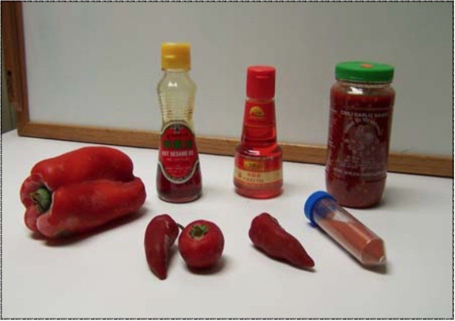 Typical chili products studied