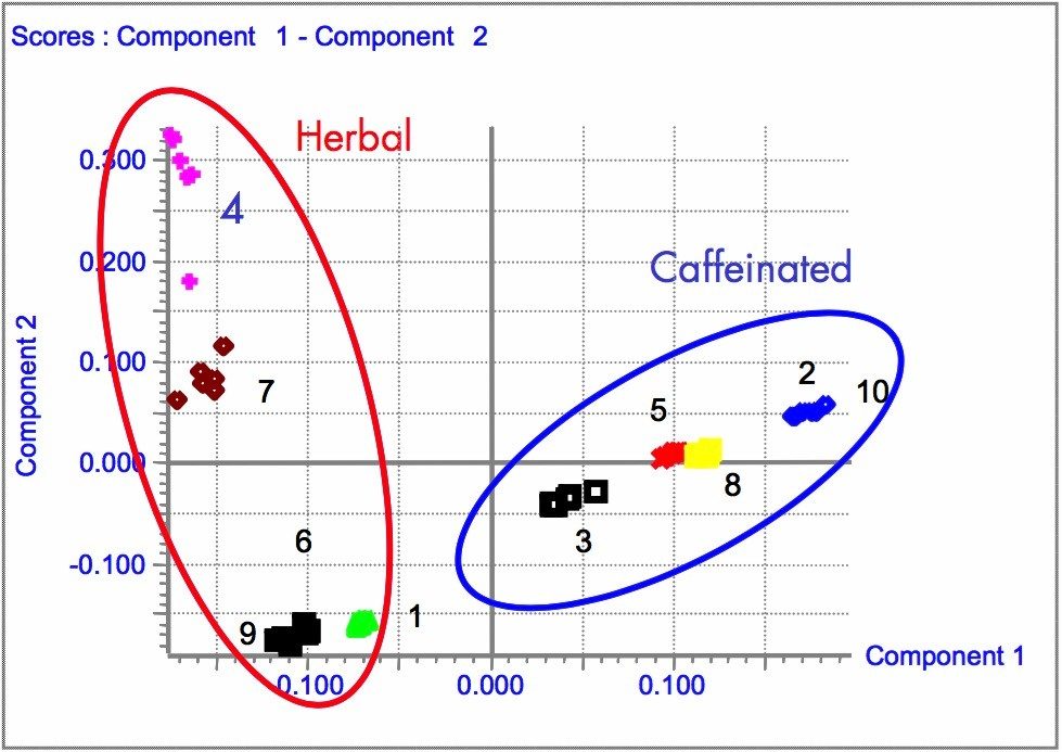 PCA scores plot