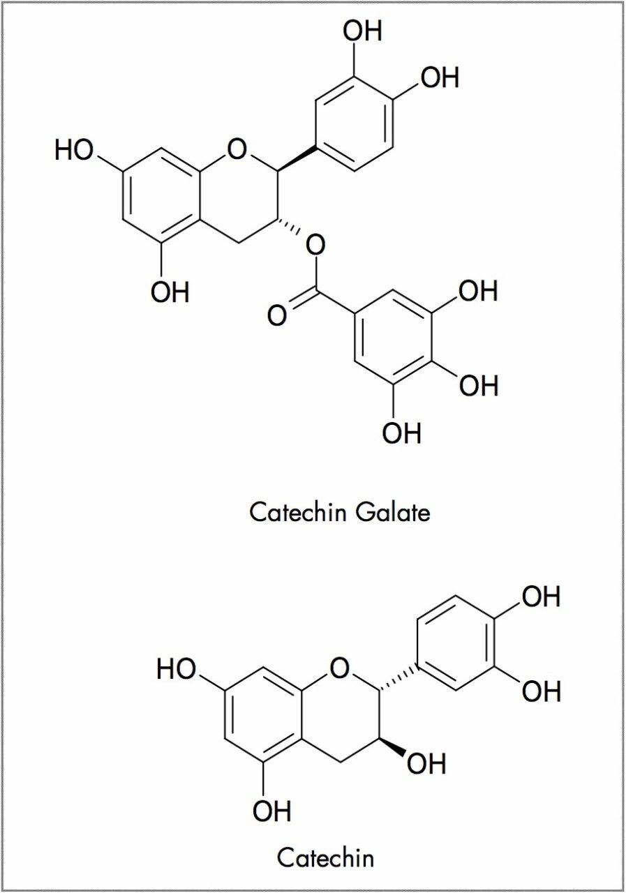 Examples of flavan-3-ols