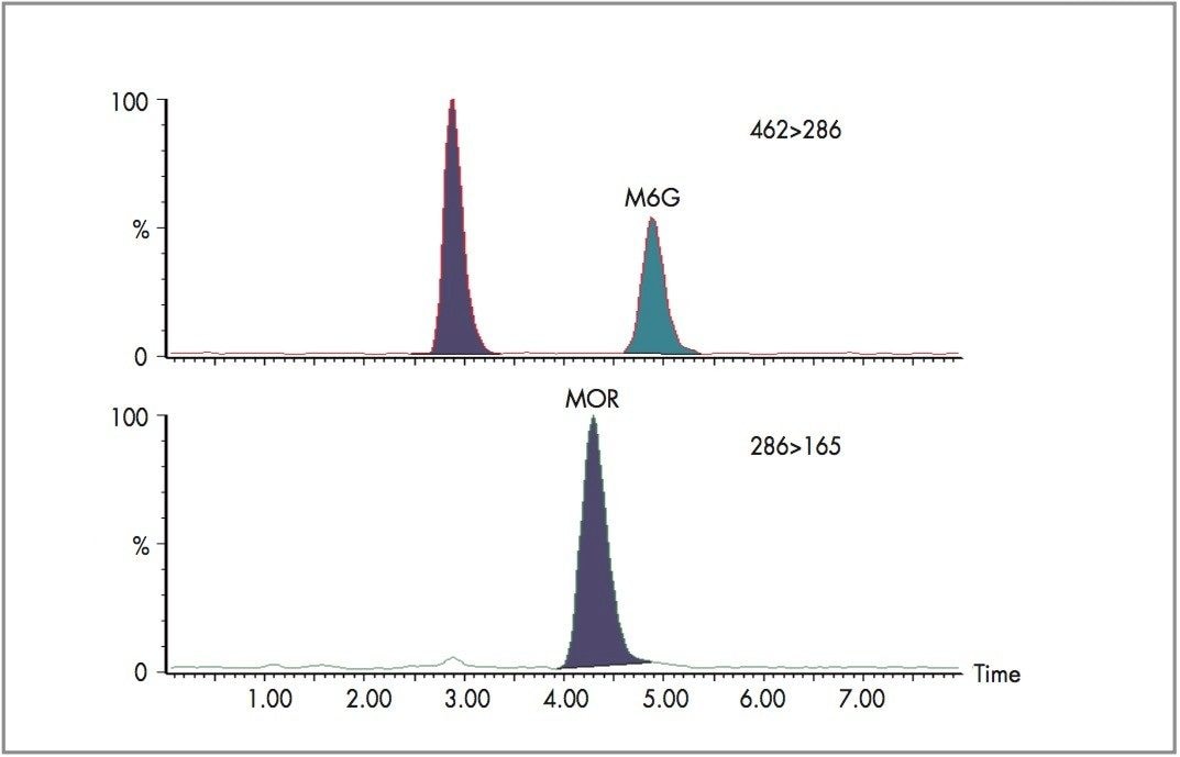 MRM chromatogram for morphine