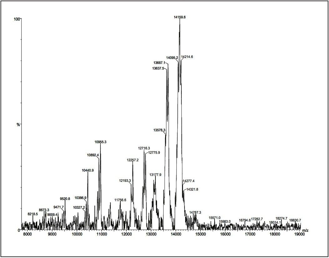 Polyamidoamine 3 (PAMAM3) dendrimer MALDI micro MX spectrum