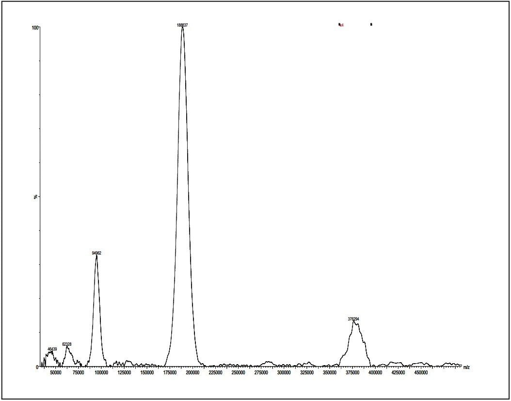 Polystyrene 190K MALDI micro MX spectrum