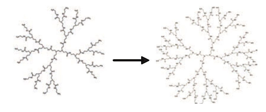 Polymerization of polyamidoamine (PAMAM) dendrimer