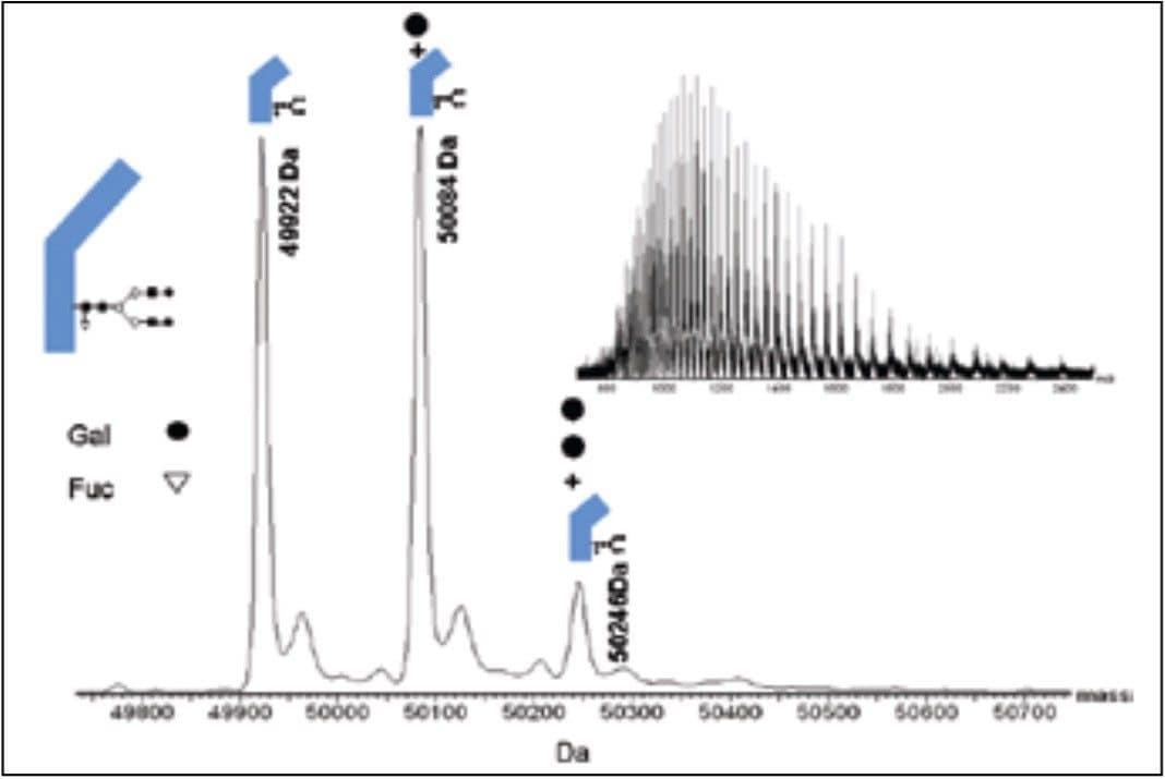 Combined mass spectrum and deconvoluted mass spectrum