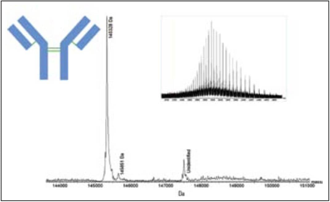 Combined ESI-TOF mass spectrum